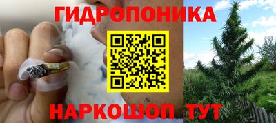 трава Рыбинск