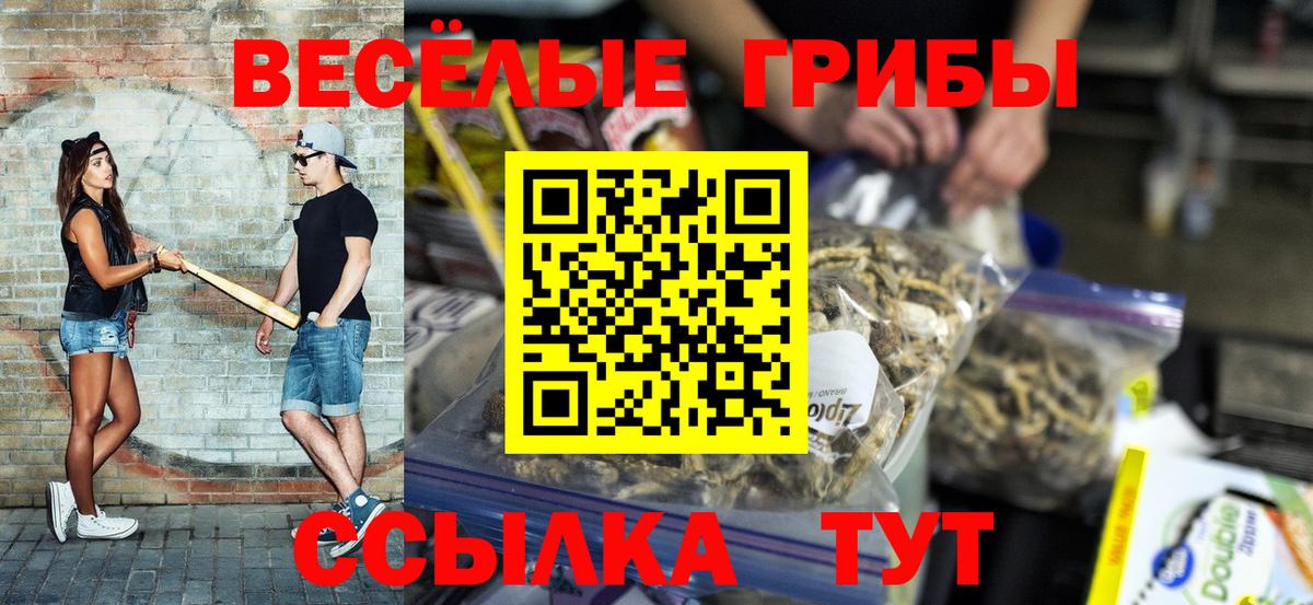 Галлюциногенные грибы Magic Shrooms  Псилоцибиновые грибы Magic Shrooms  Ревда  Вход с VPN 