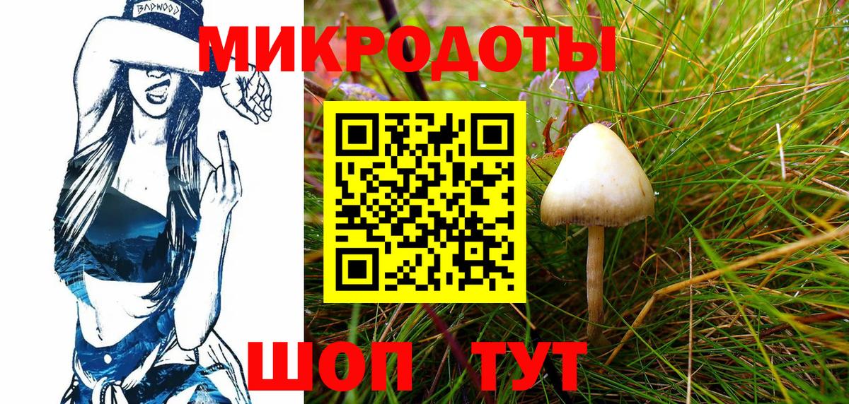 Псилоцибиновые грибы MAGIC MUSHROOMS Ревда