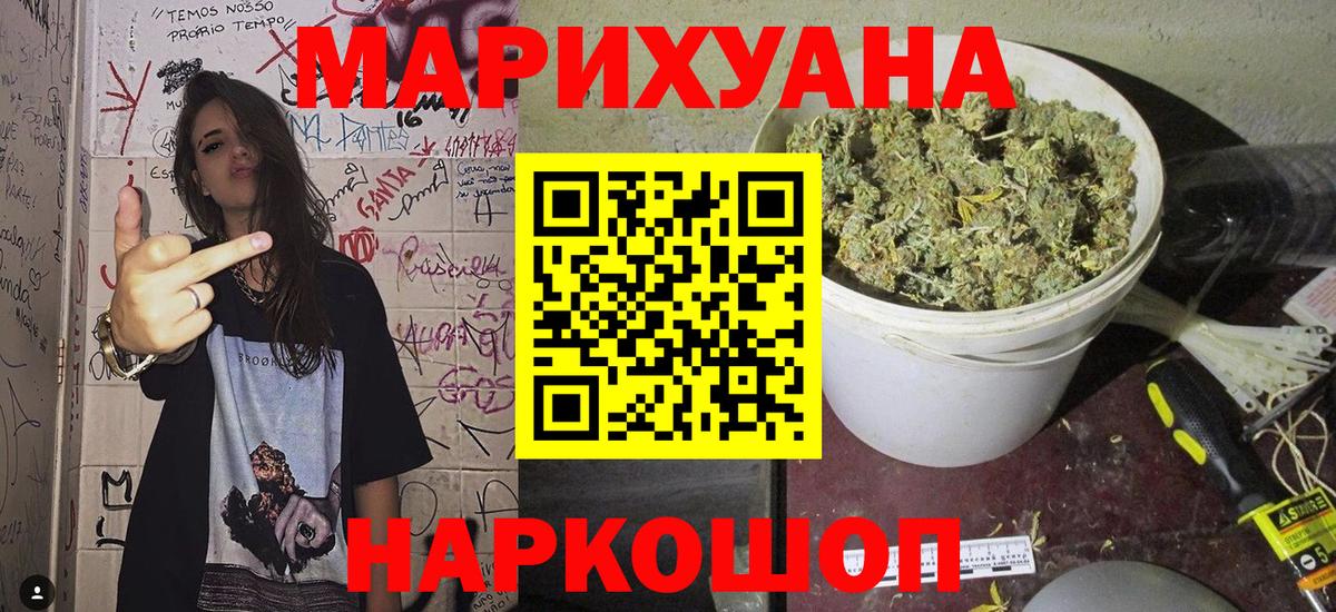 Конопля гибрид Ревда
